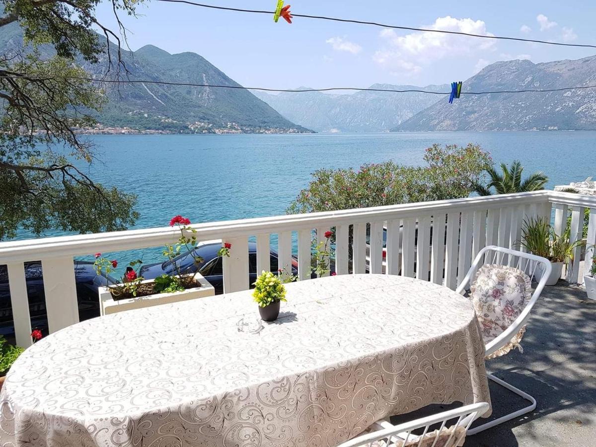 Montenegro Apartmant'S Κότορ Εξωτερικό φωτογραφία