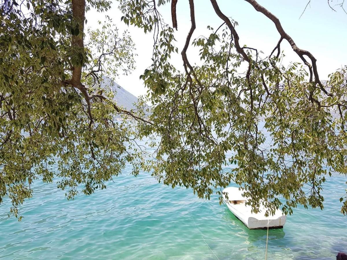 Montenegro Apartmant'S Κότορ Εξωτερικό φωτογραφία