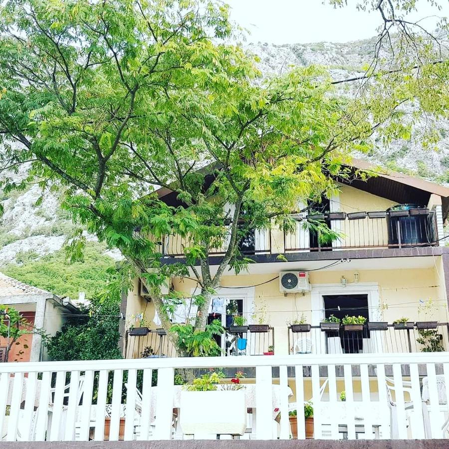 Montenegro Apartmant'S Κότορ Εξωτερικό φωτογραφία