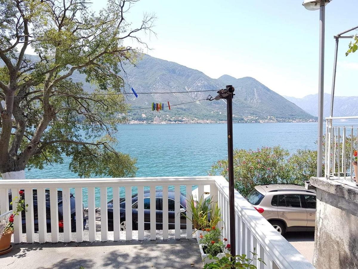 Montenegro Apartmant'S Κότορ Εξωτερικό φωτογραφία