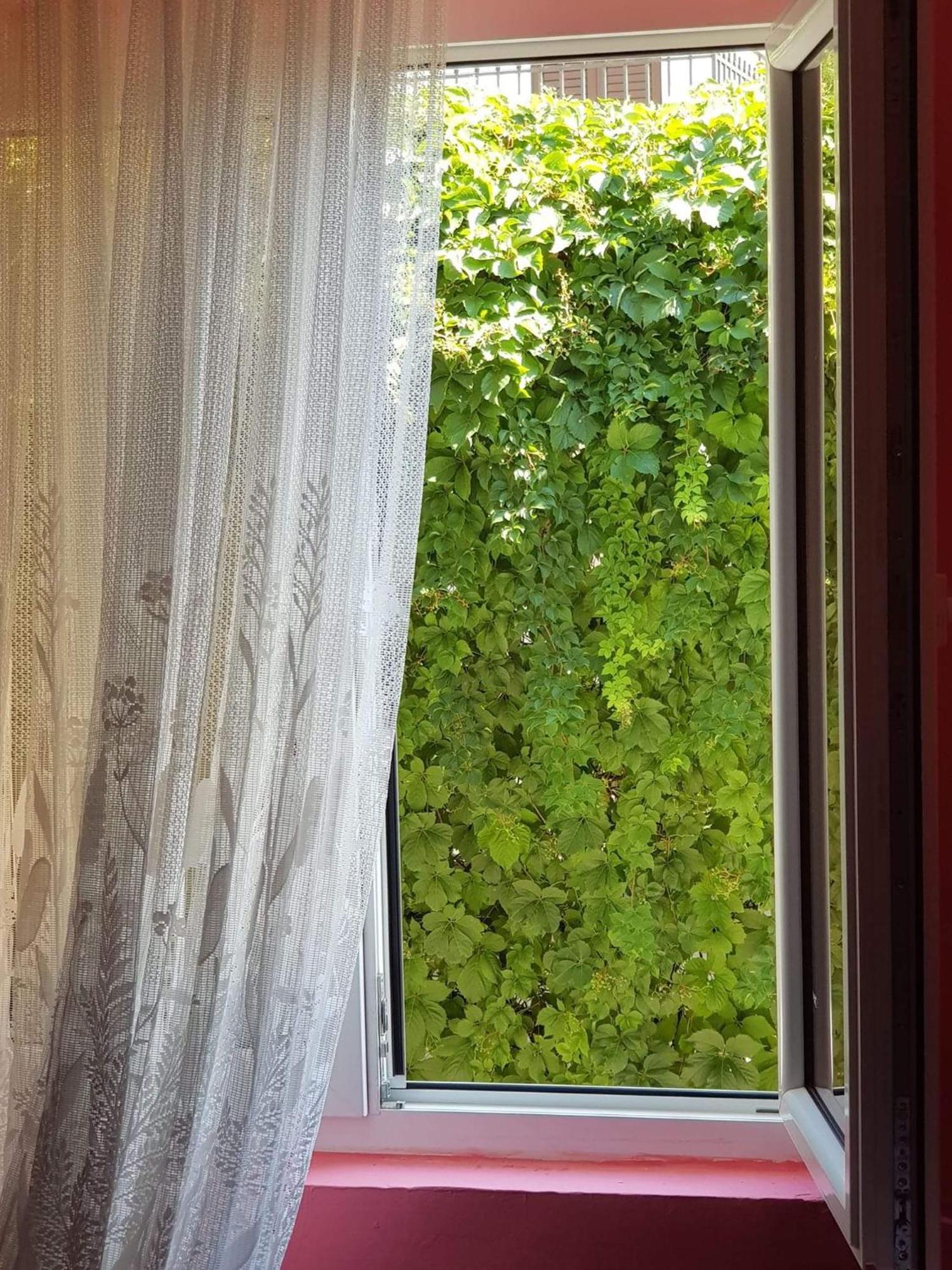 Montenegro Apartmant'S Κότορ Δωμάτιο φωτογραφία